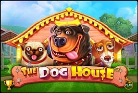 The Dog House Megaways — слот с липкими множителями